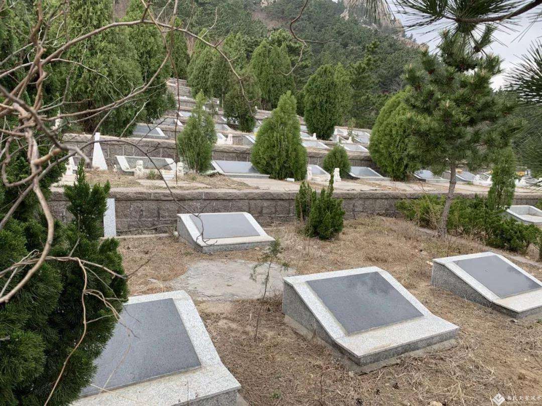 天星风水